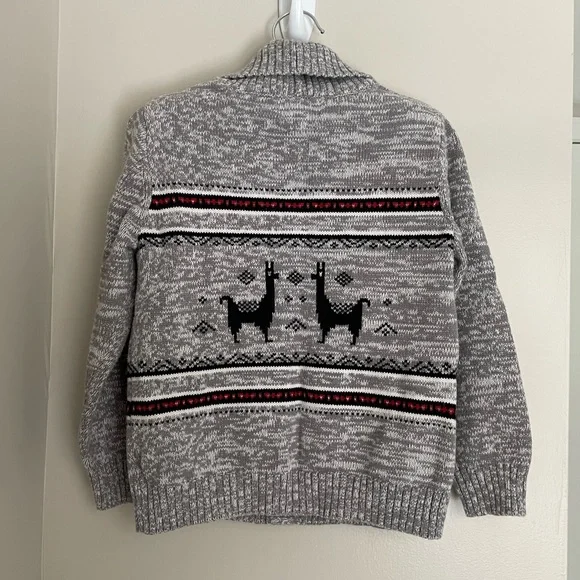 Fair Isle Shawl-Collar Cardigan. Boys, but can be gender neutral. Size 5T - Picture 2 of 5